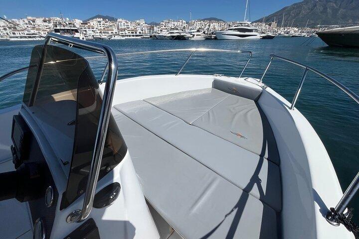 Alquiler de barcos en Marbella con avistamiento de delfines