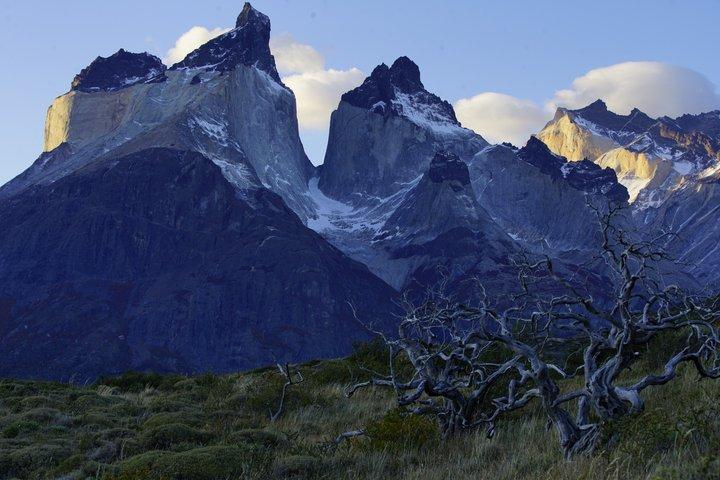 Excursion d'une journée à Torres del Paine au départ de Punta Arenas
