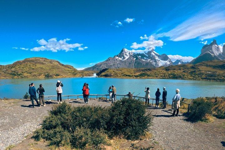 Excursion d'une journée à Torres del Paine au départ de Punta Arenas