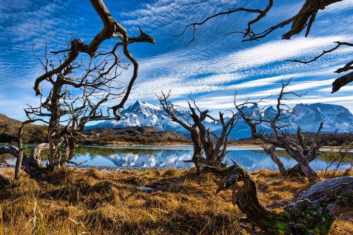Excursion d'une journée à Torres del Paine au départ de Punta Arenas