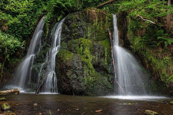 Inverness : Birreria Black Isle, Fairy Glen e Dolphin Coast