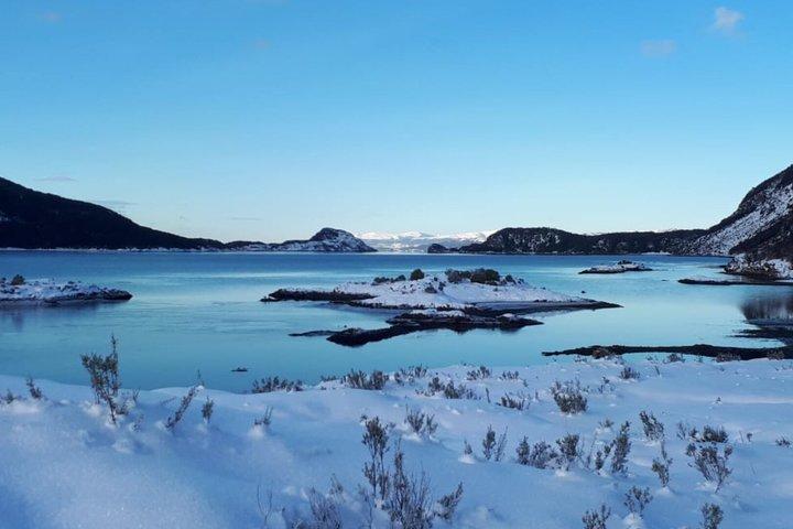 Visite du parc national de Tierra Del Fuego