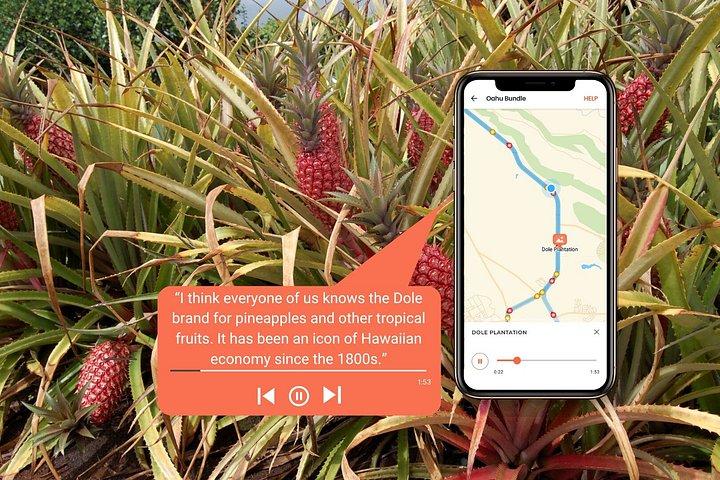 Self-Guided Audio Driving Tour in Oahu Hawaii