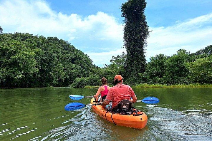 Mangrove Kayak - near Sámara & Carrillo Beach