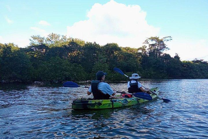 Mangrove Kayak - near Sámara & Carrillo Beach
