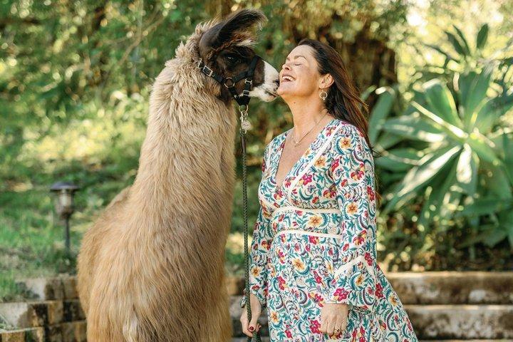 Alpaca Llama och Bunny Tea Party