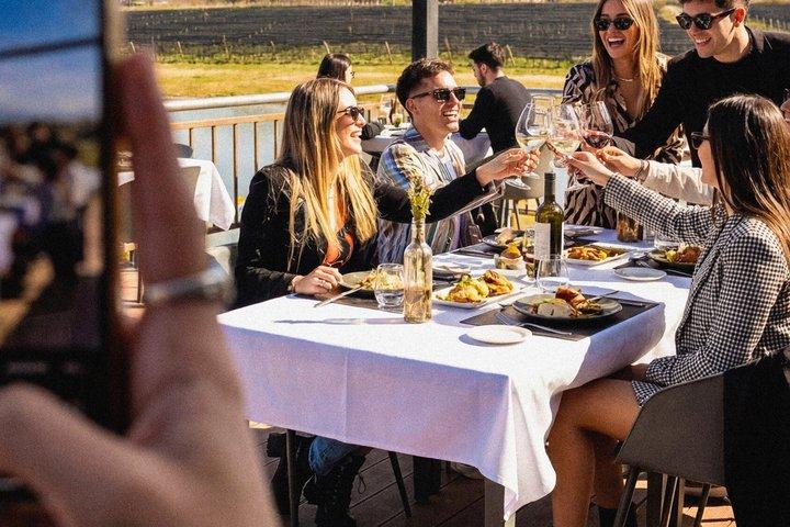 Private Uco Valley Wine Tour:3 Wineries, Malbec Tasting &Transfer