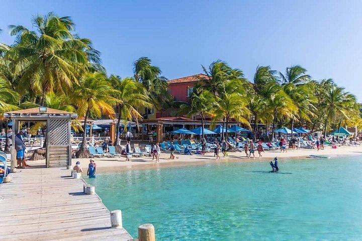 3-in-1 : Zipline, ATVs & Snorkel the Reef