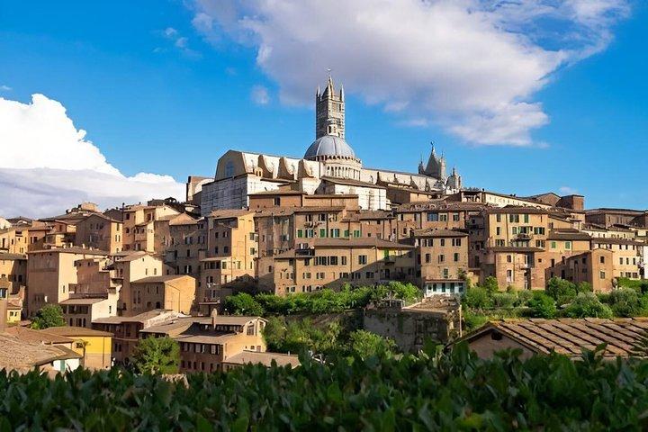 Visite privée de Sienne Monteriggioni San Gimignano, Cave, déjeuner