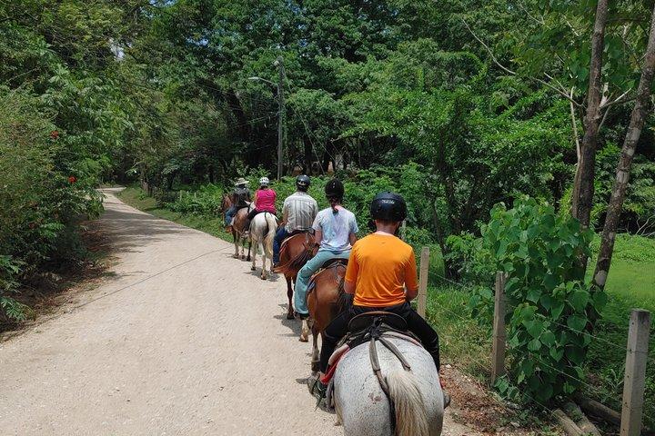 Paseos a caballo en Puerto Carrillo : Playa & Selva