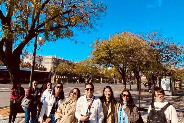 Essentie van Sevilla met koetsrit Flamenco en ophalen