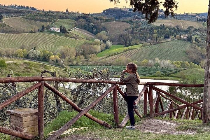 Small Group Wine Tour & San Gimignano Visit