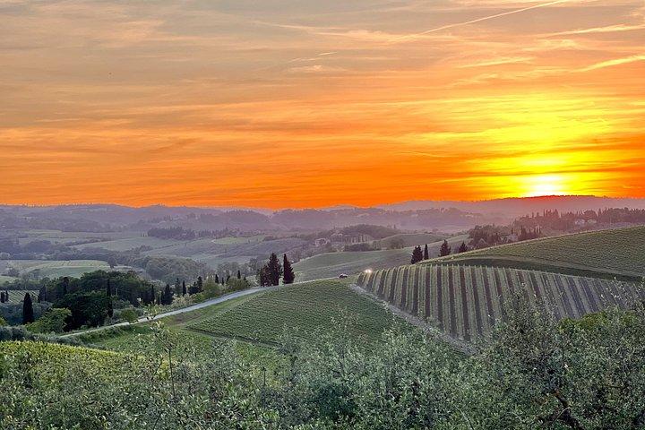 Small Group Wine Tour & San Gimignano Visit