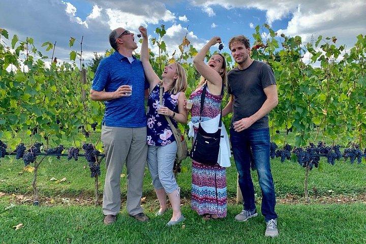Small Group Wine Tour & San Gimignano Visit
