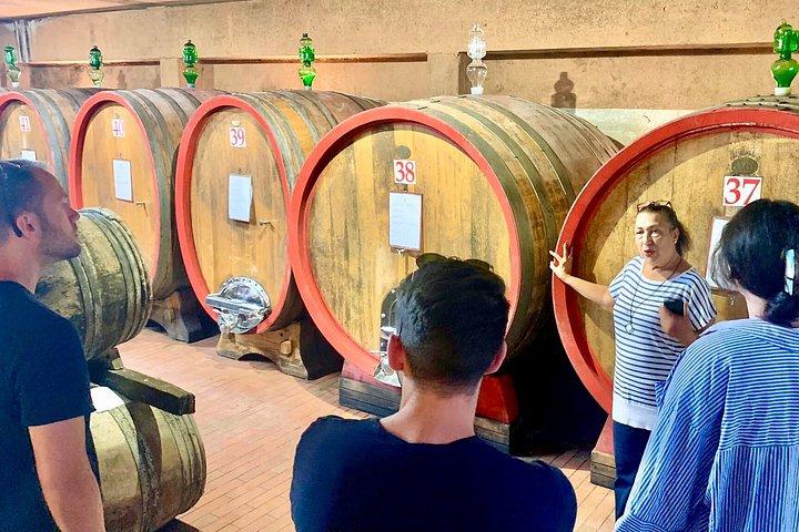 Small Group Wine Tour & San Gimignano Visit