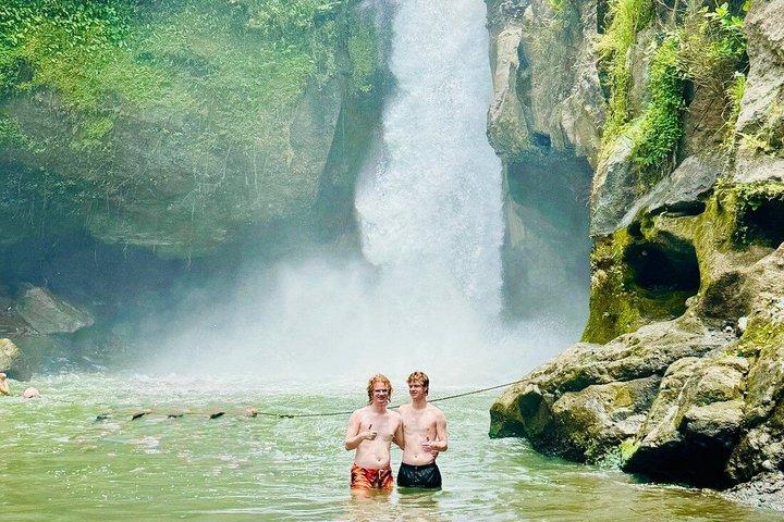 Ubud privat tur risfält tempel vattenfall.