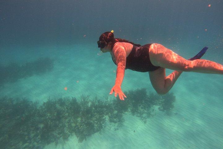 2.5 Hours Snorkeling Costa Maya