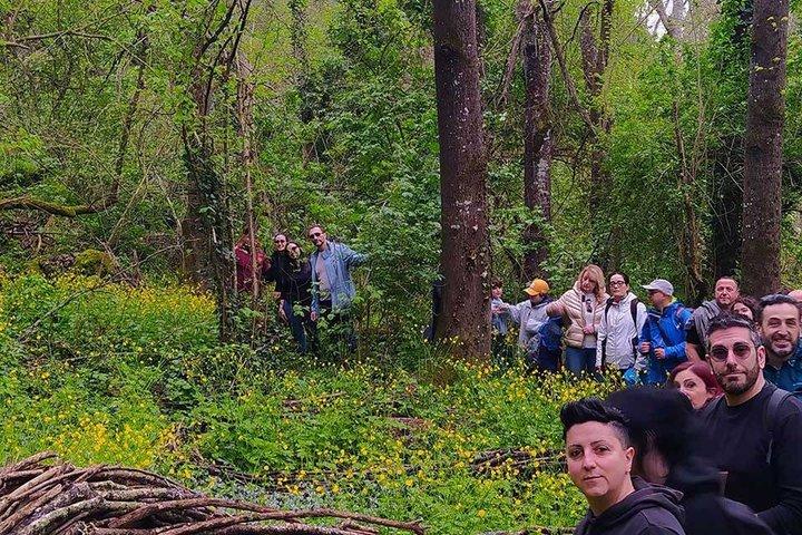 ローマ近郊の簡単ハイキングと芸術の森と村々を巡る