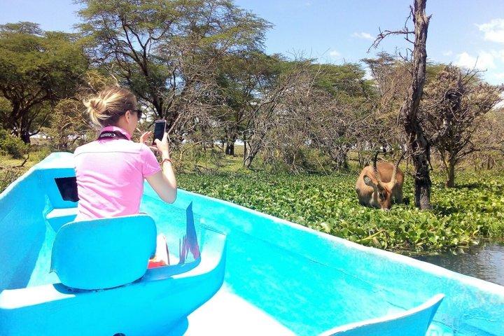 有名なケニアのビッグ5プライベート野生動物サファリ8日間