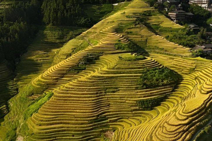 Longji ris terrasser privat tur från Guilin