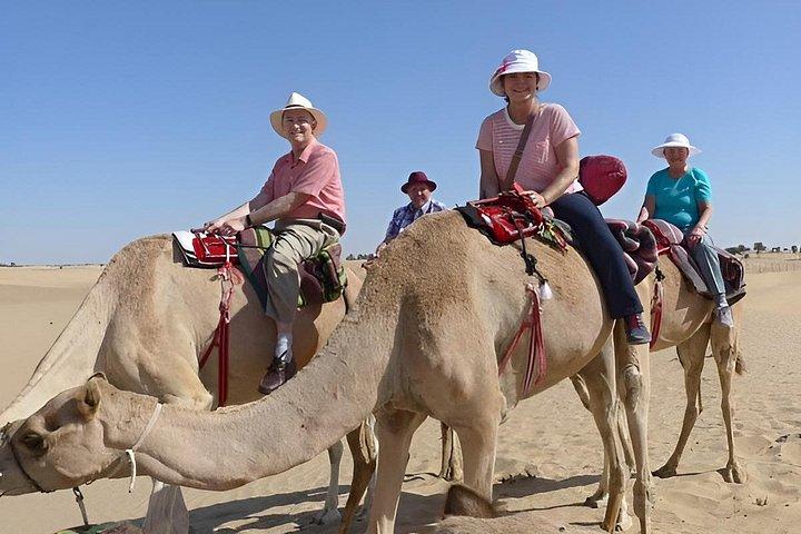 Camel Farm Experience Ride Feed and Live Race Viewing
