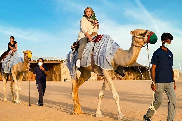 Camel Farm Experience Ride Feed and Live Race Viewing