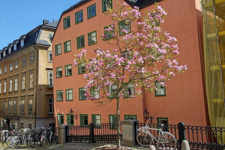 Stockholm Highlights und Cliffside Fika Picknick