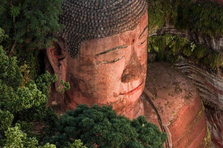Visite privée VIP Pandas & Leshan Buddha en Bullet Train