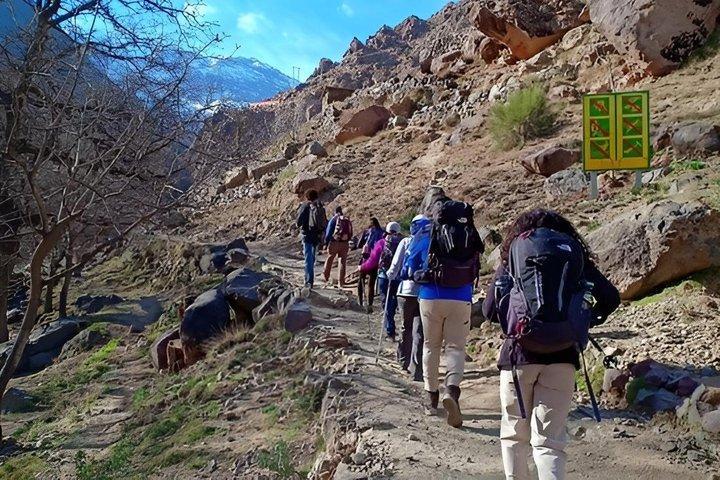 Ourika Valley and Atlas Mountains Day Trip with Lunch