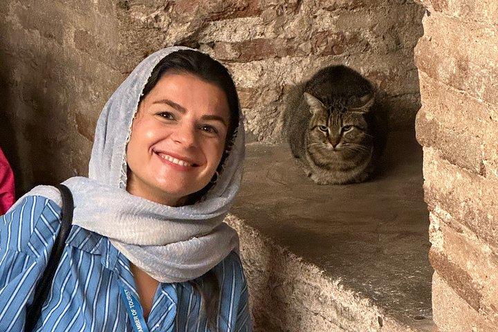 イスタンブールのハイライト ブルー モスク、アヤソフィア、地下水槽など!