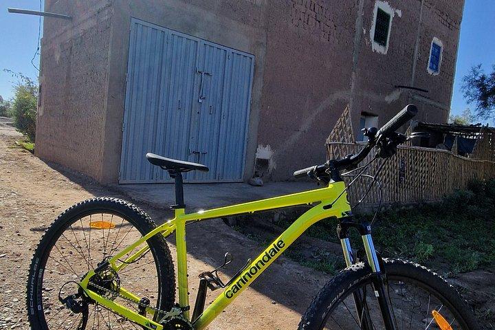 マウンテンバイクでスコウラのヤシ林を巡るガイド付きツアー