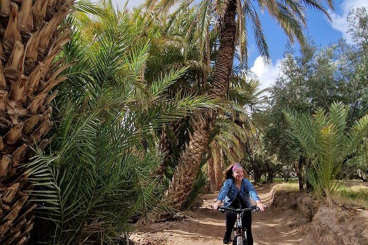 マウンテンバイクでスコウラのヤシ林を巡るガイド付きツアー