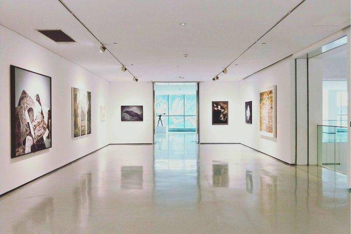 Entrada Flex al Museo Reina Sofía de Madrid con Audioguía