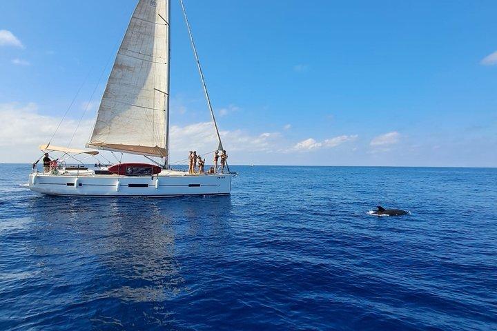 Avventura in barca a vela: vela, delfini e relax con bevande