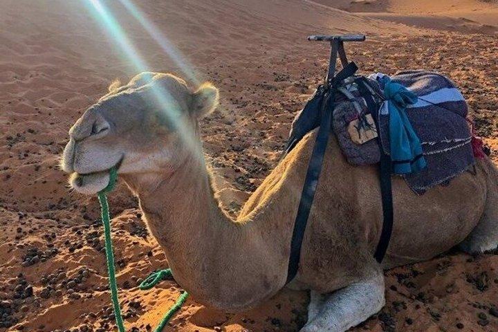 Groepswoestijntour vanuit Marrakech 2 dagen