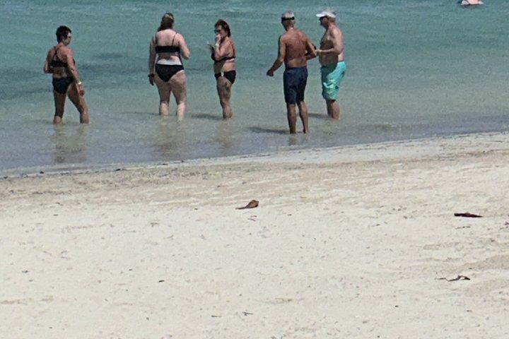Jamaica Private Negril Beach Day and Rick's Cafe Sunset Tour