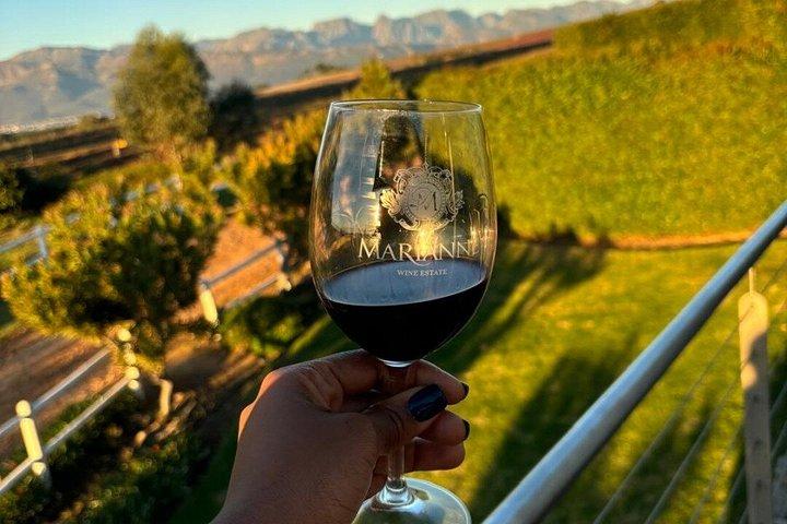 Full Day shared Stellenbosch and Franschhoek Tram Wine Tasting