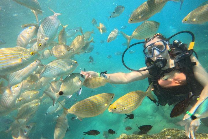 Kemer 2 plongées dans les baies de Crystal Clear avec déjeuner et transfert