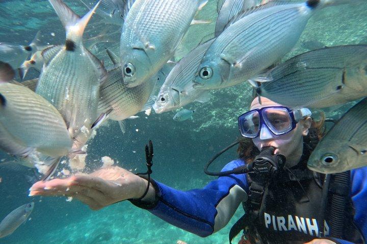 Kemer 2 plongées dans les baies de Crystal Clear avec déjeuner et transfert