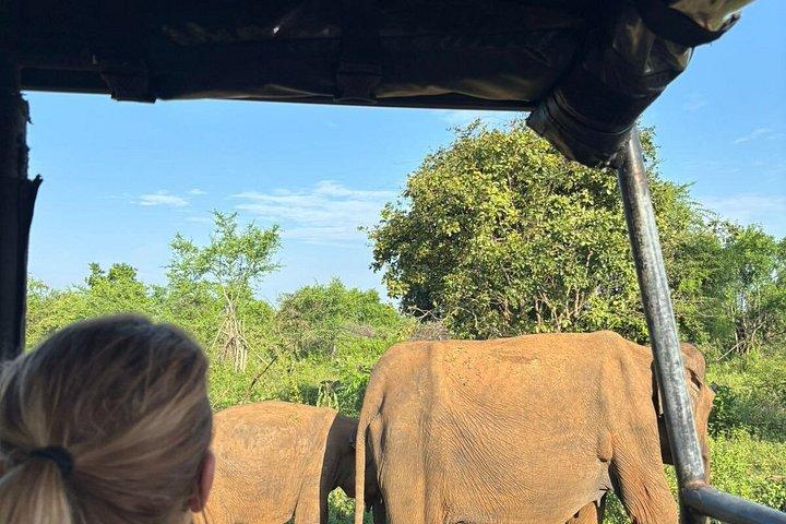 ウダワラワ国立公園サファリアウンガラ,コスゴダ,ベントタ,ベルワラ