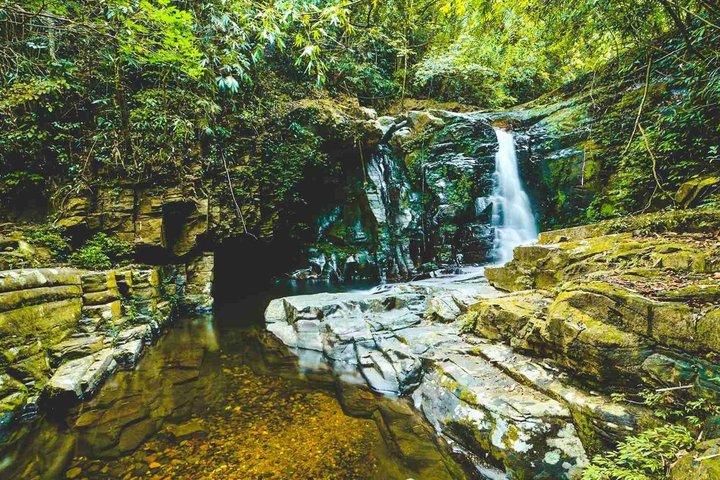 Bach Ma National Park 1 Day Private Tour from Da Nang and Hoi An