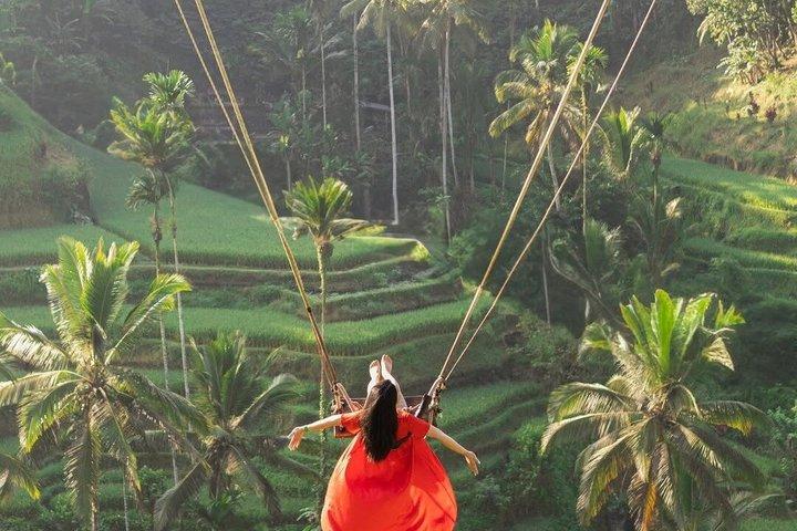 Bali Swing, Bosque de Monos y Cascadas de Ubud - Tour Privado