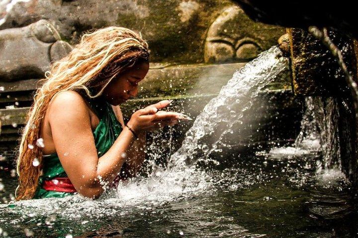 Ubud Monkey Forest, Tegalalang Reisterrasse & Tirta Empul Tempel