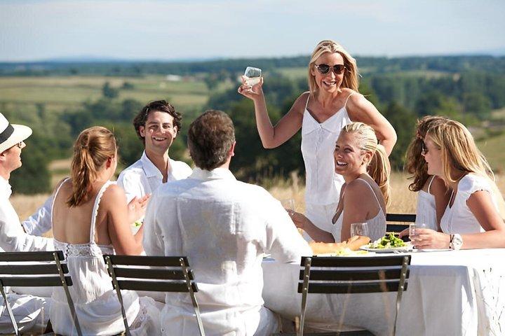 Wine Tours ( private ) 6 full hours .