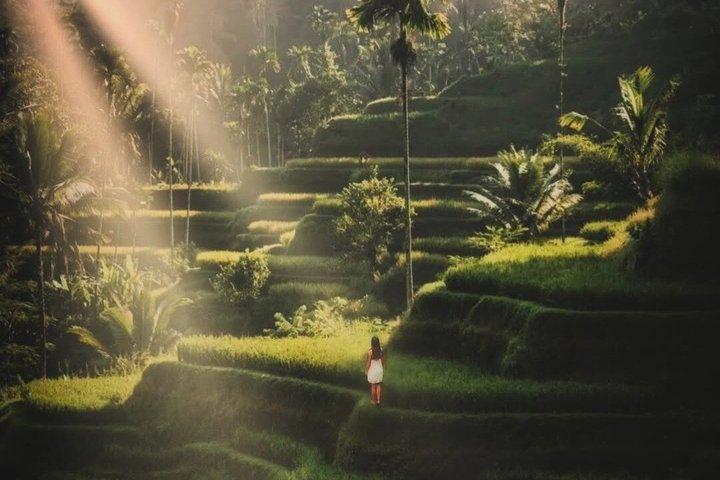 Tegenungan waterval, Monkey Forest & Ubud traditionele markt