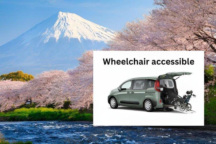 Tour privato con sedia a rotelle del Monte Fuji e Hakone