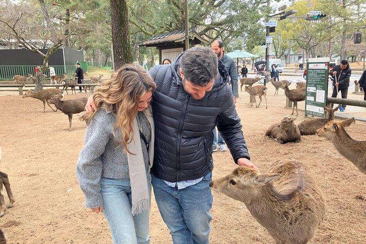 Nara wandeltocht : Deer Park, Todaiji, Kasuga & Nigatsudo