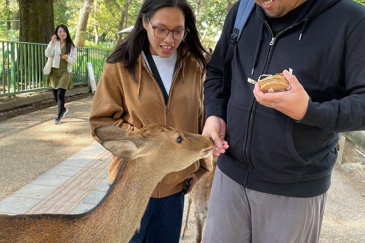 Nara wandeltocht : Deer Park, Todaiji, Kasuga & Nigatsudo
