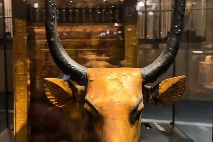 大エジプト博物館チケット（プライベート送迎付き）