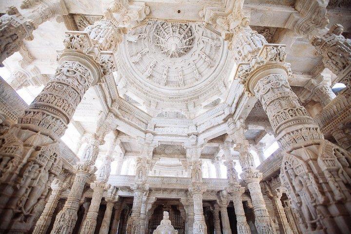 Excursion d'une journée au Jawai Leopard Safari & Ranakpur Temple au départ d'Udaipur